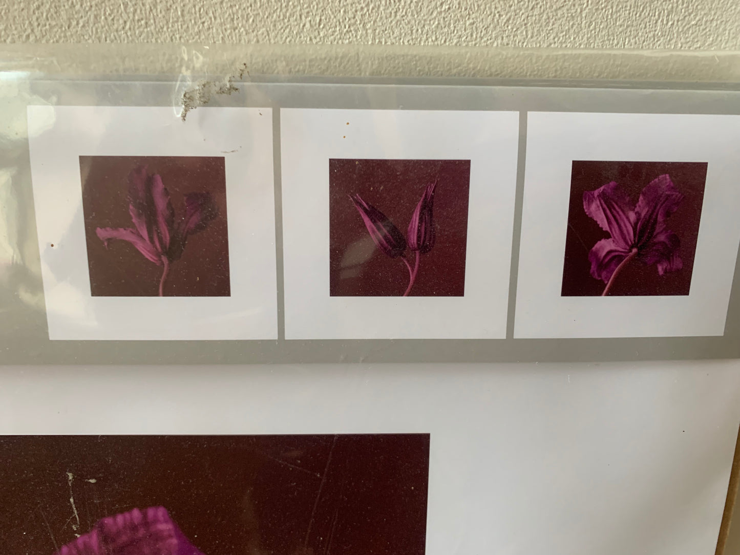 Vintage Purple Lily Ikea prints in packaging