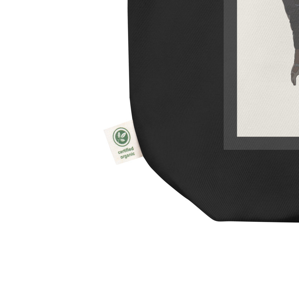 “Eco Chic Ballet Tote – Mirror Edition” Fitzgallery design