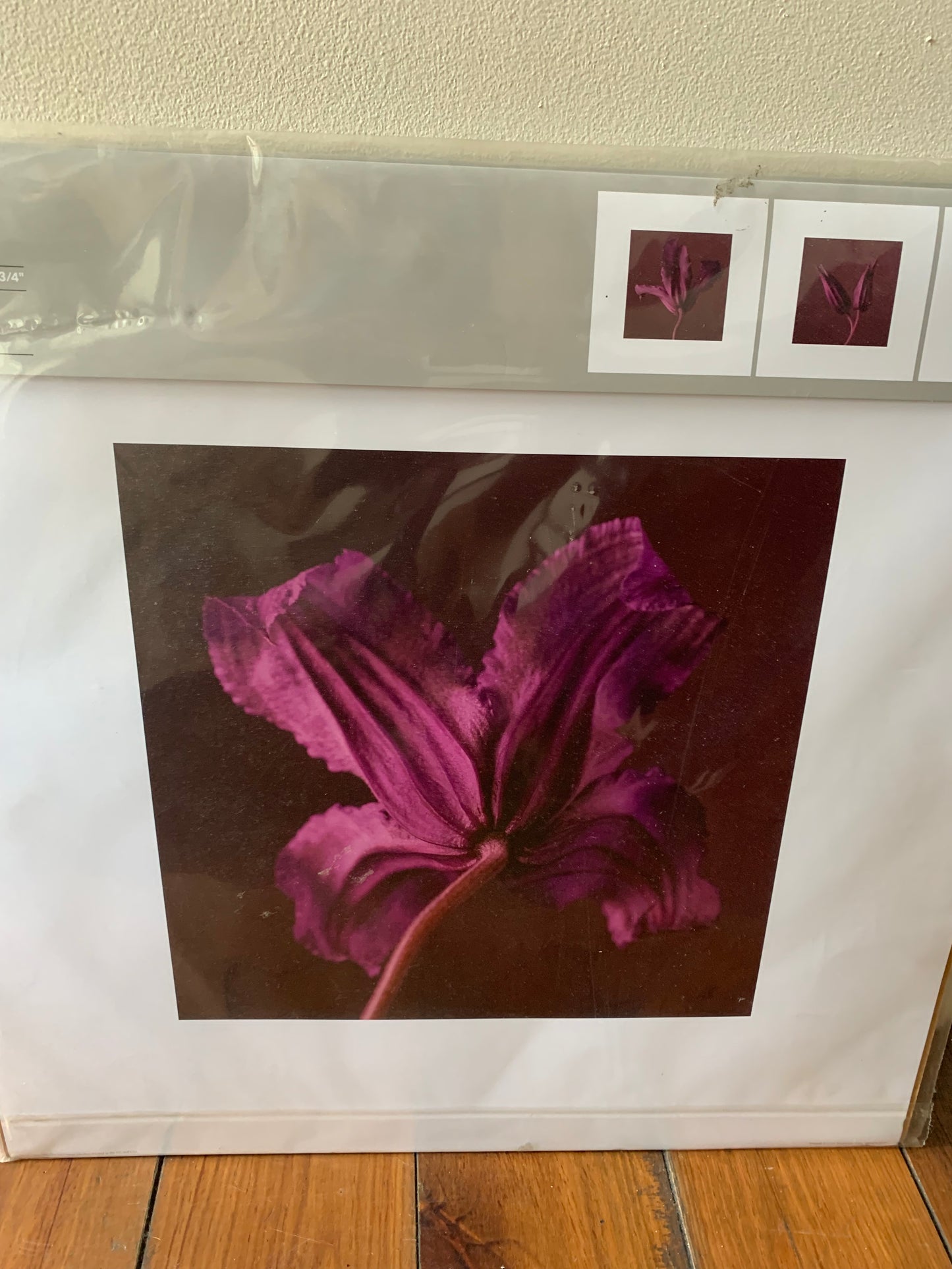 Vintage Purple Lily Ikea prints in packaging